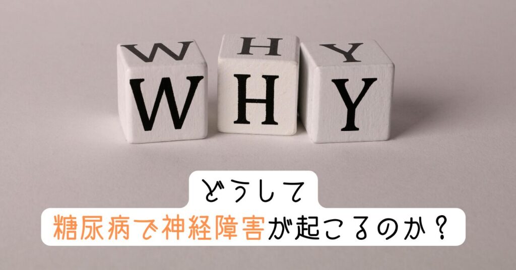 どうして糖尿病で神経障害が起こるのか? 見出し画像