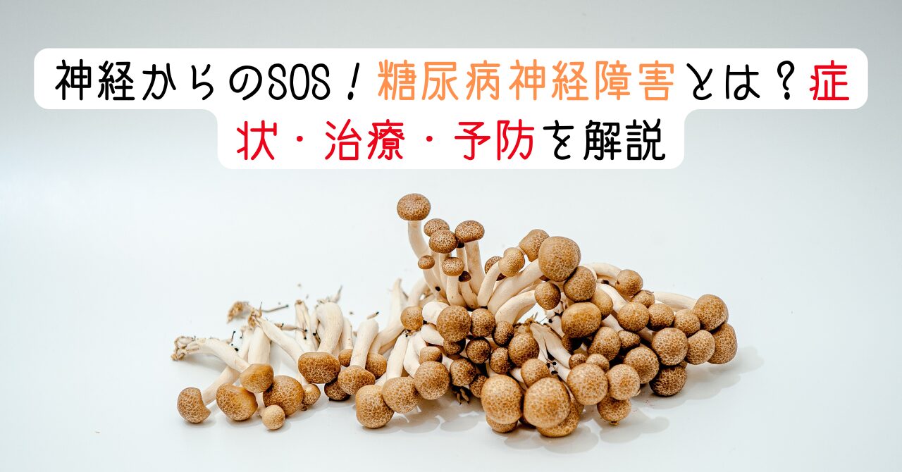 神経からのSOS！糖尿病神経障害とは？症状・治療・予防を解説　アイキャッチ画像